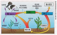 臭氧對水中微生物殺菌（一）